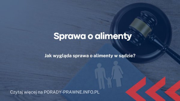 Sprawa O Alimenty Koszty Czas Trwania Dokumenty