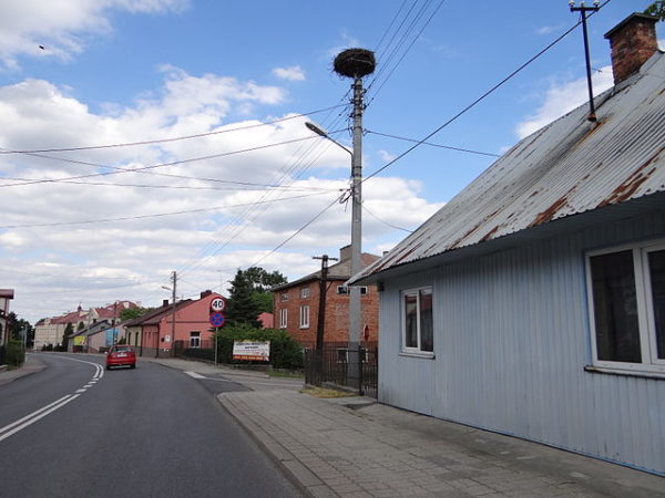Ranking adwokatów Sokołów Małopolski