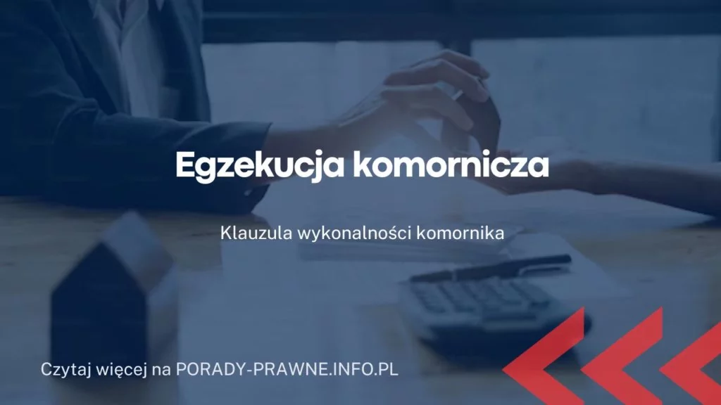 Egzekucja komornicza – ile czasu trwa egzekucja komornicza?