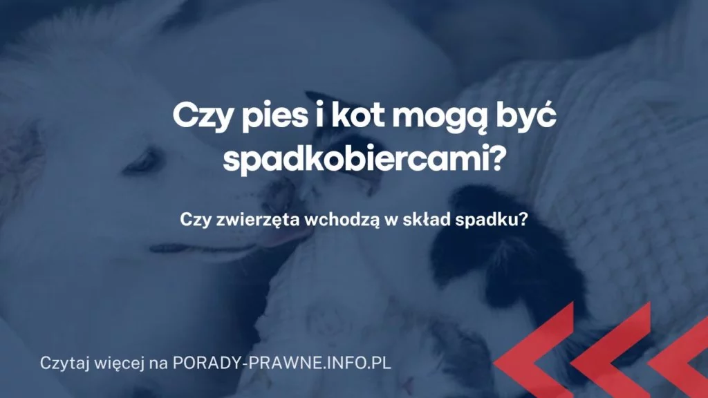 Czy pies i kot mogą być spadkobiercami?