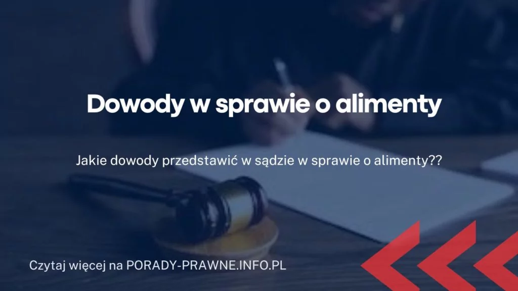 Dowody w sprawie o alimenty – jakie dowody przygotować w sprawie o alimenty?