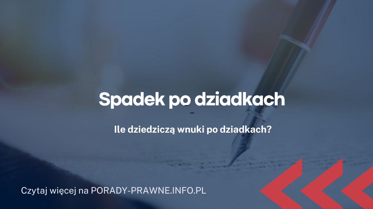 Spadek po dziadkach – ile dziedziczą wnuki po dziadkach?