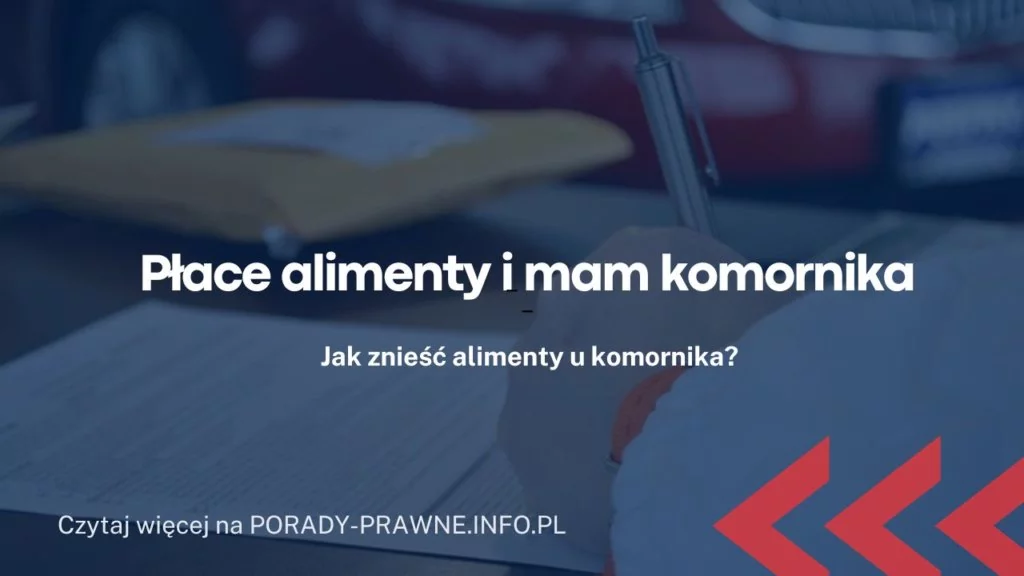 Płace alimenty i mam komornika – ile czasu komornik ściąga alimenty?